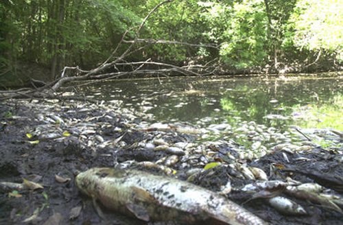 Contaminación de bienes naturales